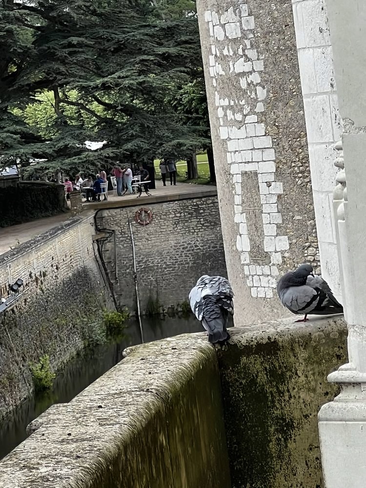 Château de Chenonceau — my photo 40
