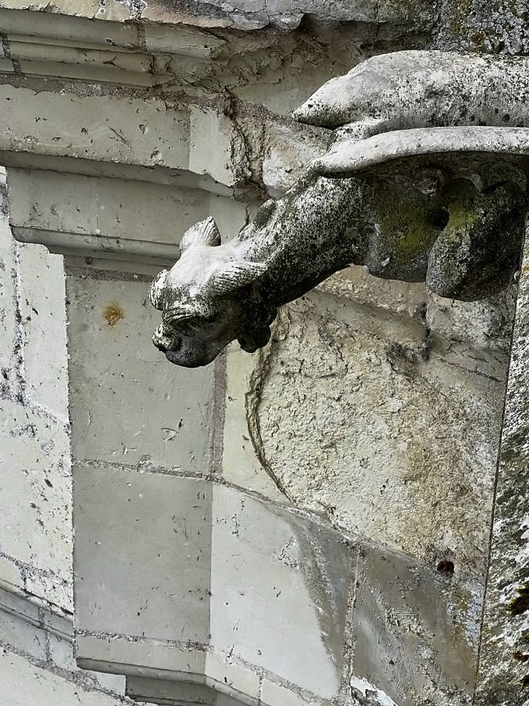 Château de Chenonceau — my photo 51