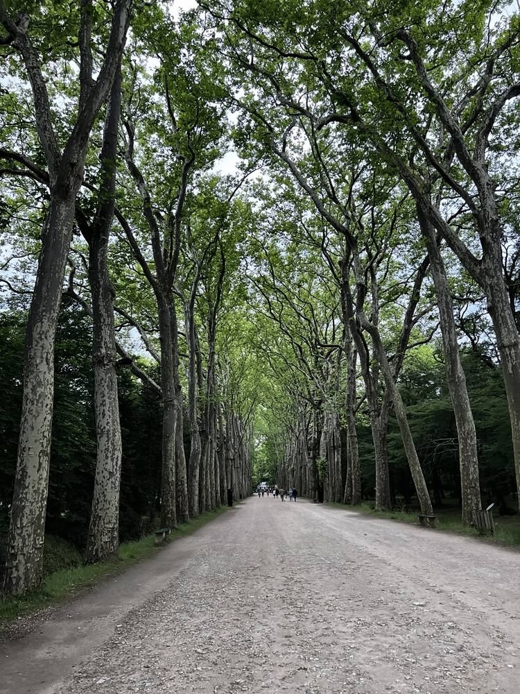Château de Chenonceau — my photo 45