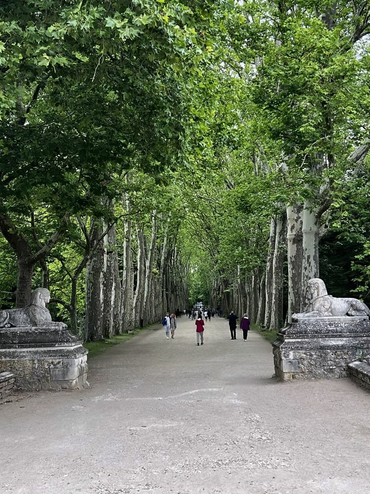 Château de Chenonceau — my photo 69