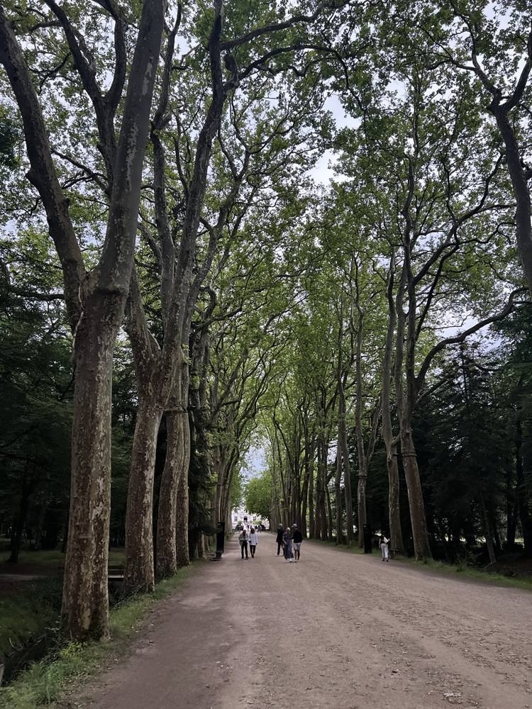 Château de Chenonceau — my photo 44