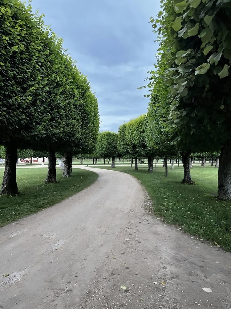 Château de Chambord — my photo 25