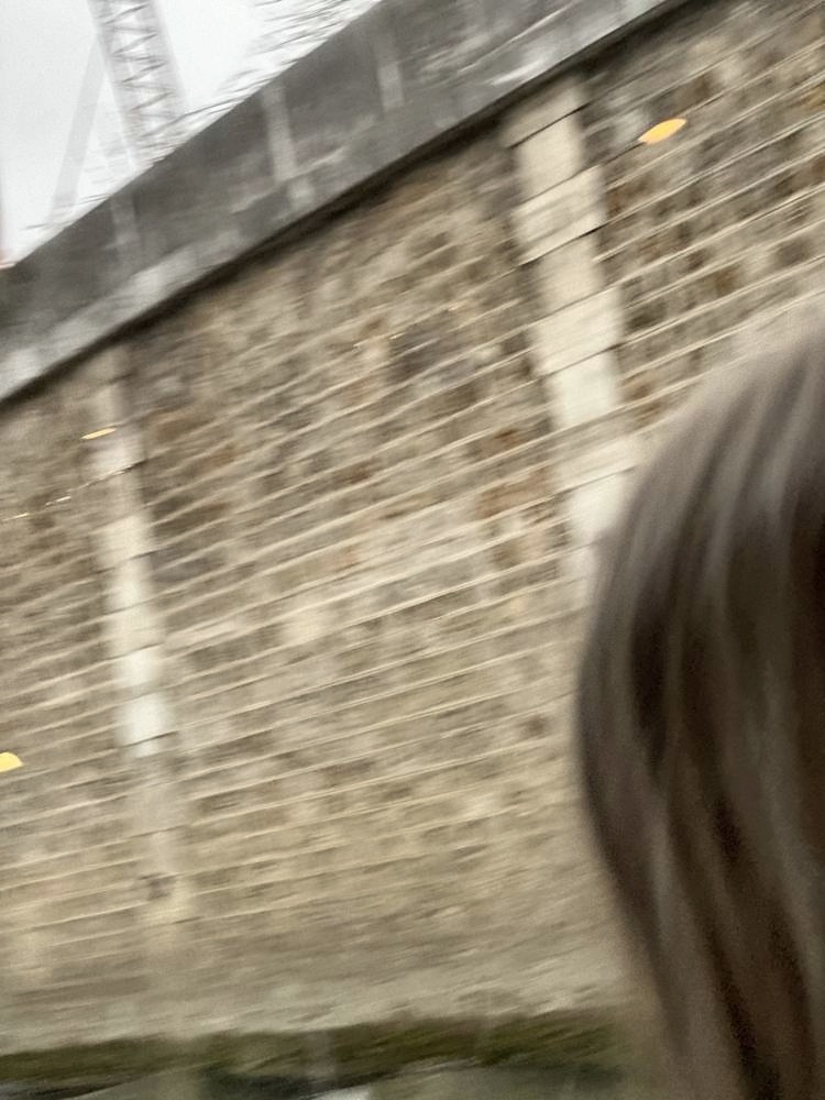 Notre-Dame de Paris