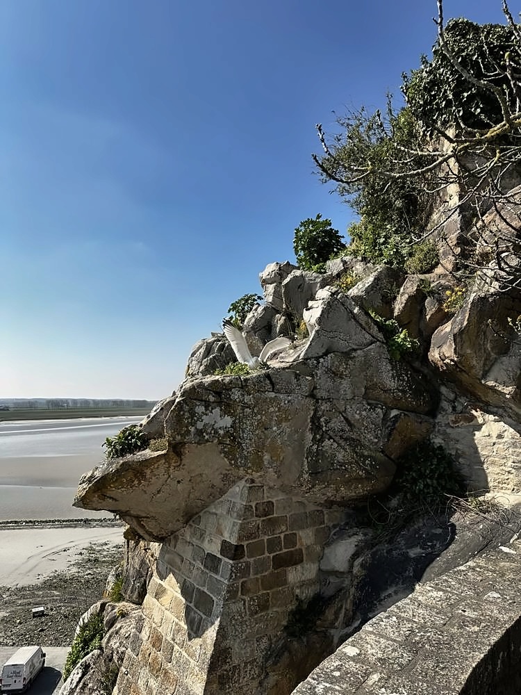 Mont-Saint-Michel — my photo 35
