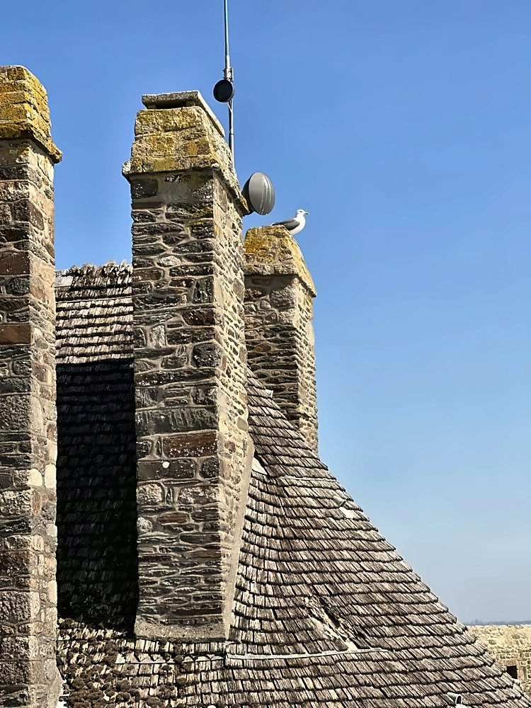 Mont-Saint-Michel — my photo 32