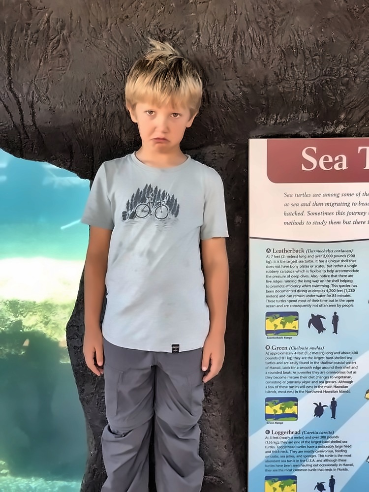 Molokini Crater