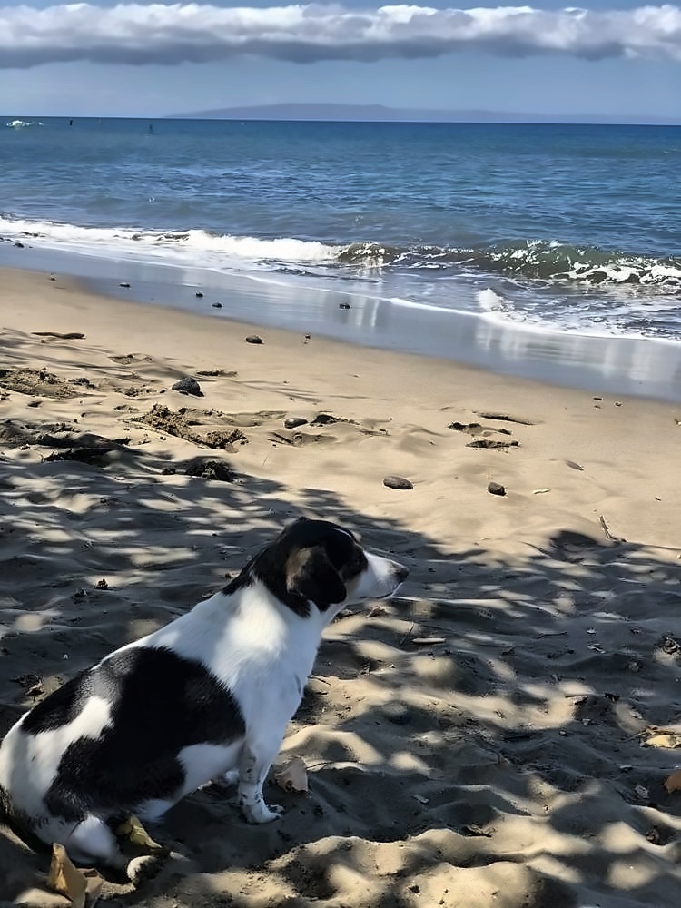 Lāhainā & the Old Fort