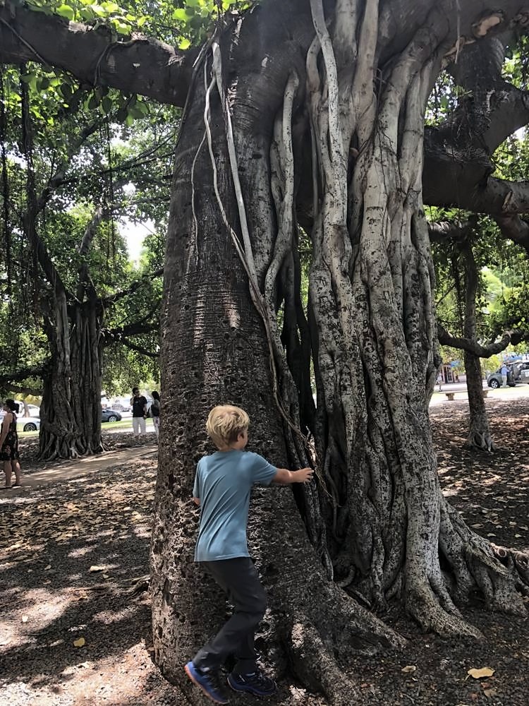 Lāhainā & the Old Fort