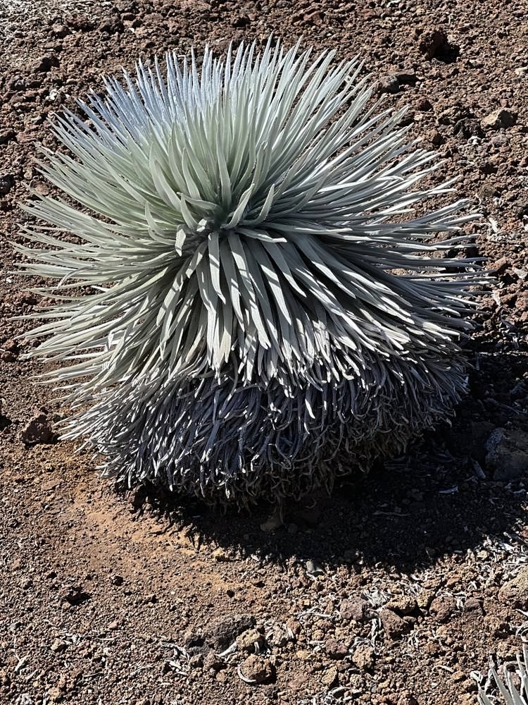 Haleakalā Summit