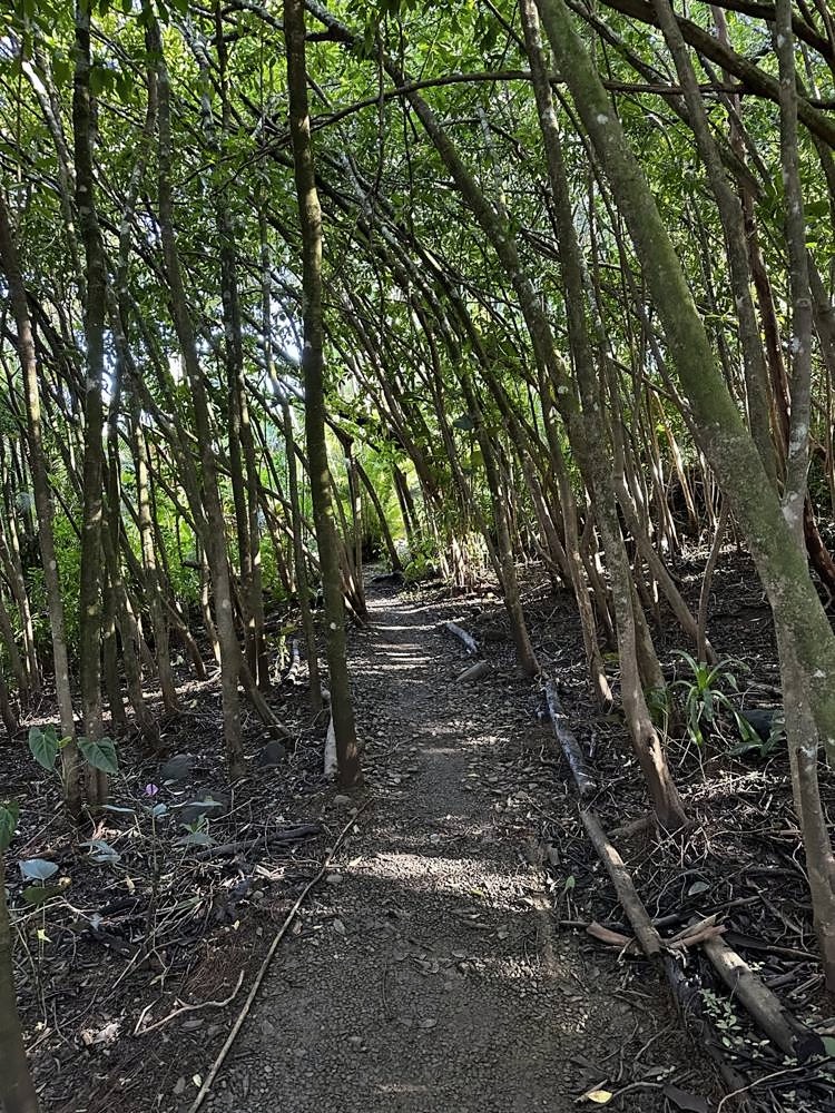 Road to Hāna