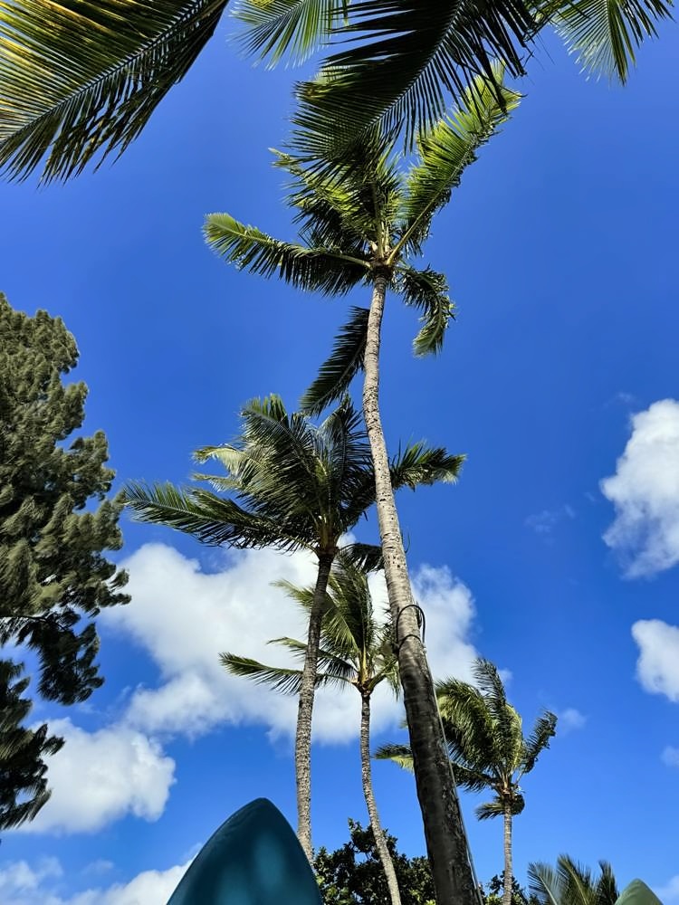 Kāʻanapali Beach