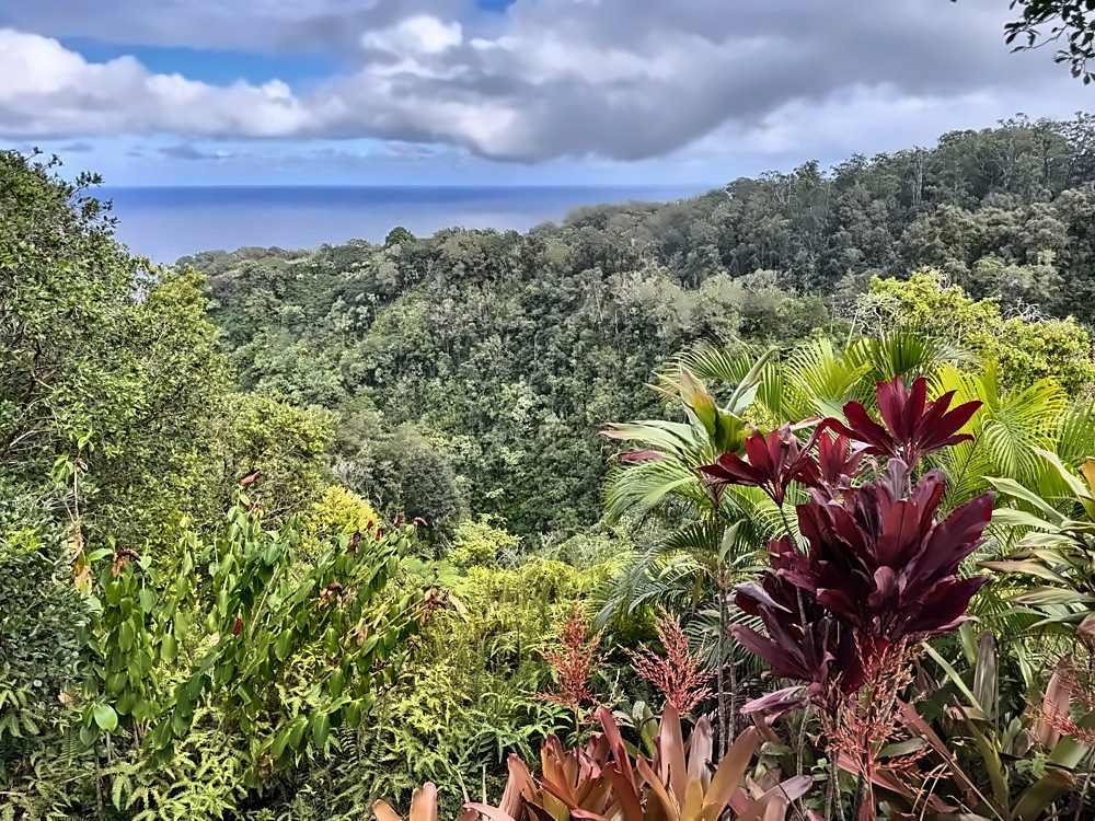 Kahanu Garden, Hāna