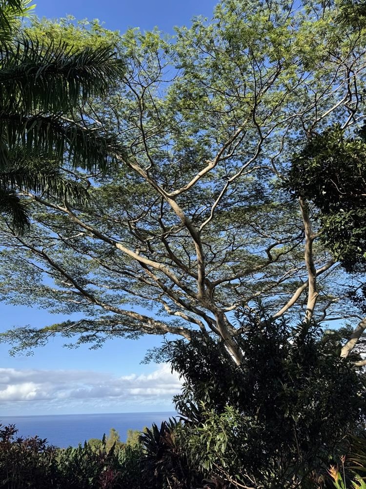 Kahanu Garden, Hāna