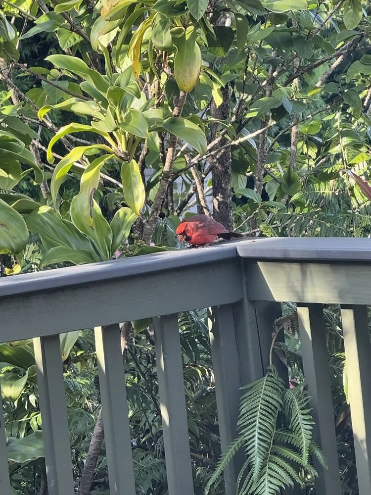 Kahanu Garden, Hāna
