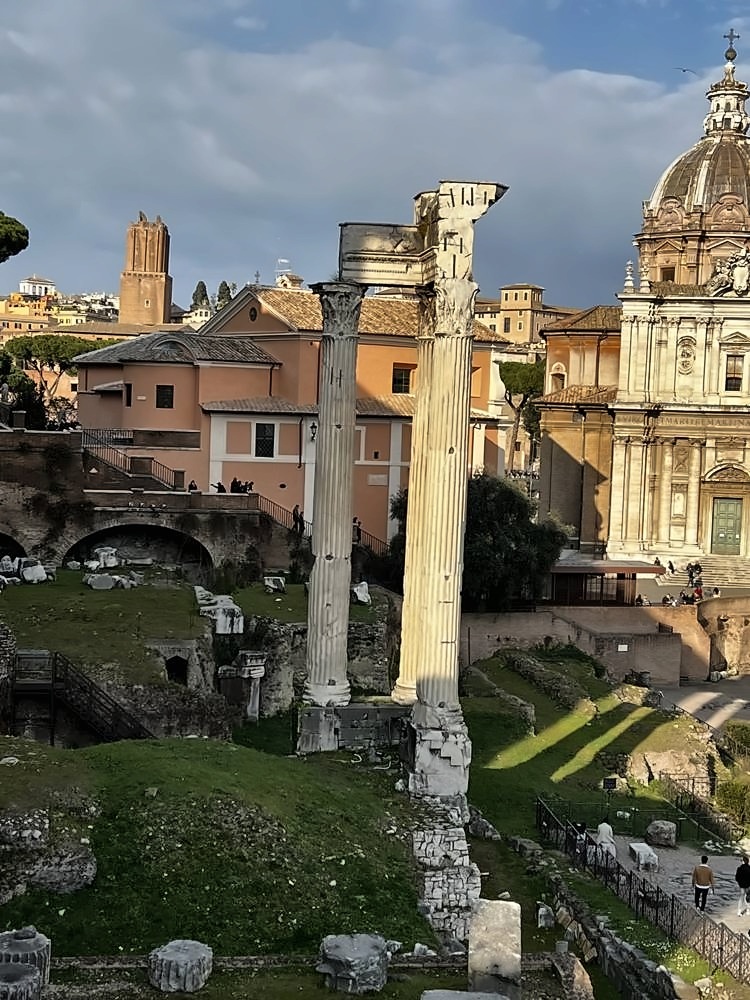 Roman Forum & Palatine Hill