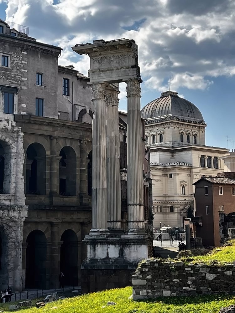 Roman Forum & Palatine Hill