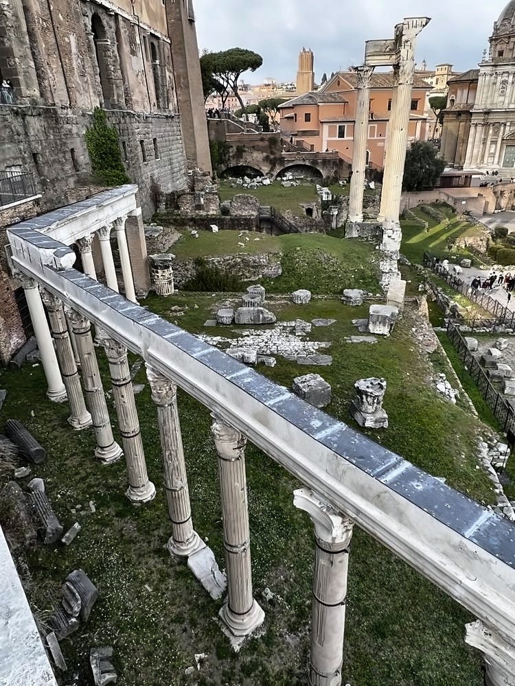 Roman Forum & Palatine Hill
