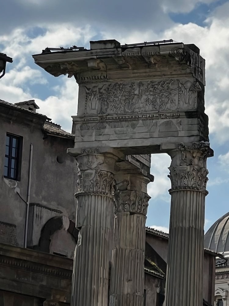 Roman Forum & Palatine Hill