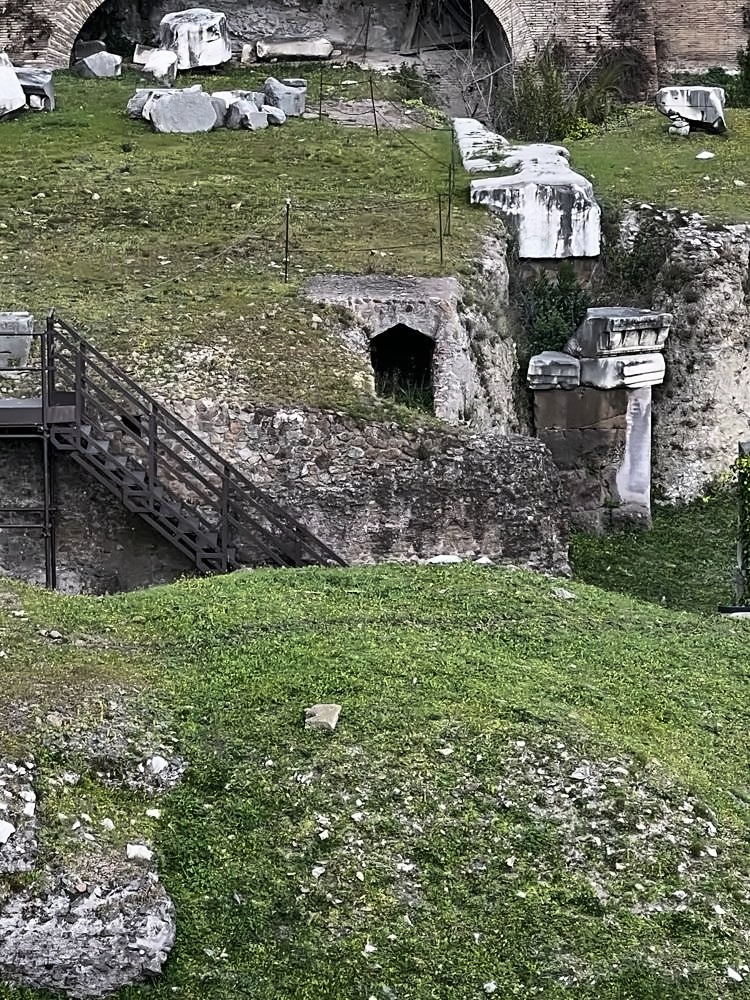 Roman Forum & Palatine Hill