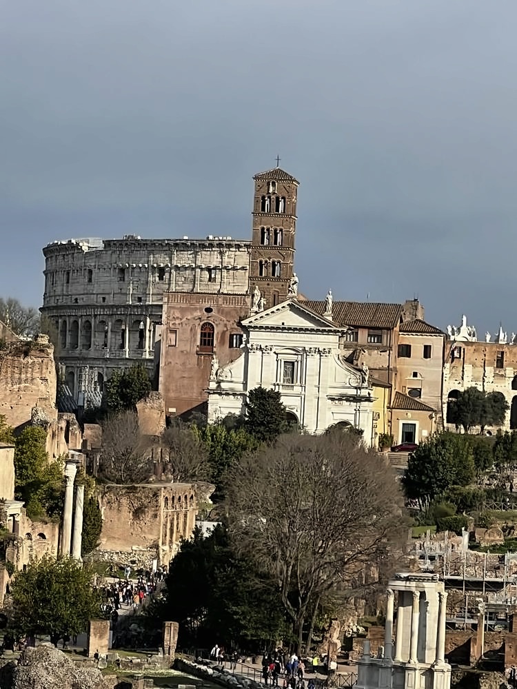 Roman Forum & Palatine Hill
