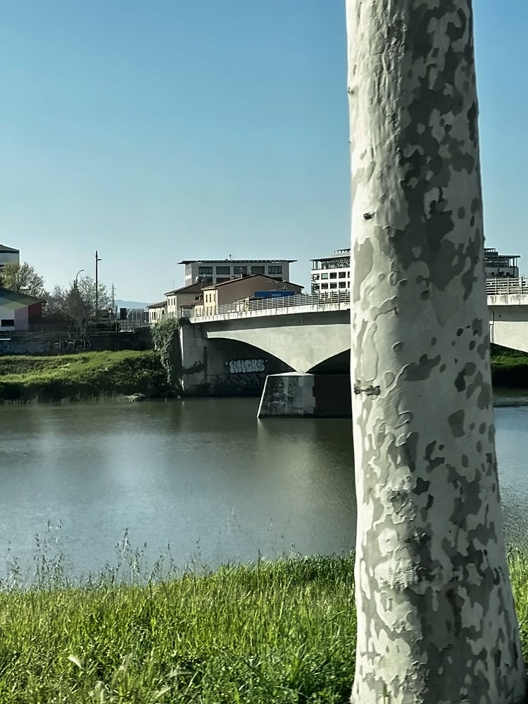Pisa
