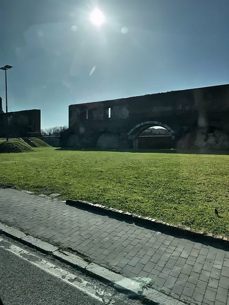 Pisa