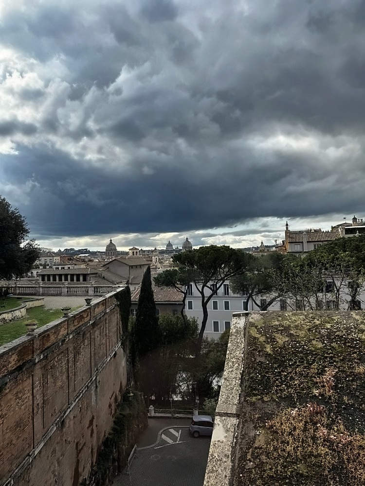 Roman Forum & Palatine Hill