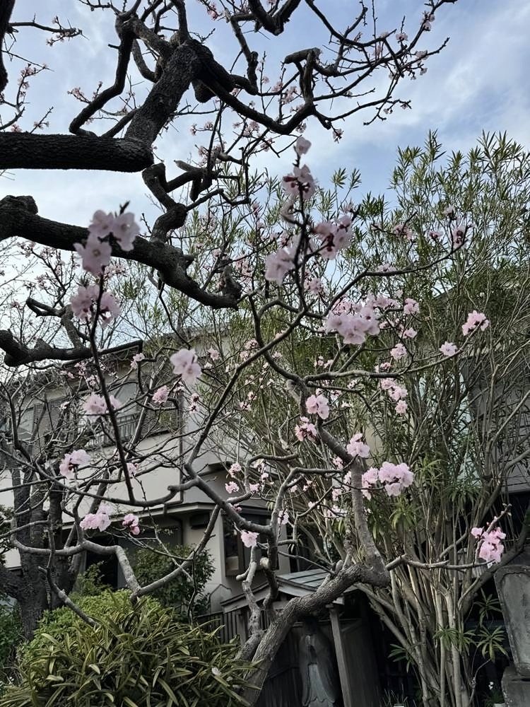 Yokohama