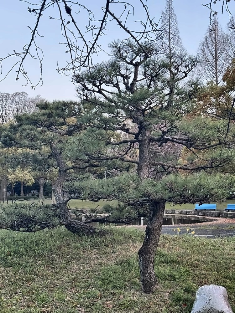 Nagoya