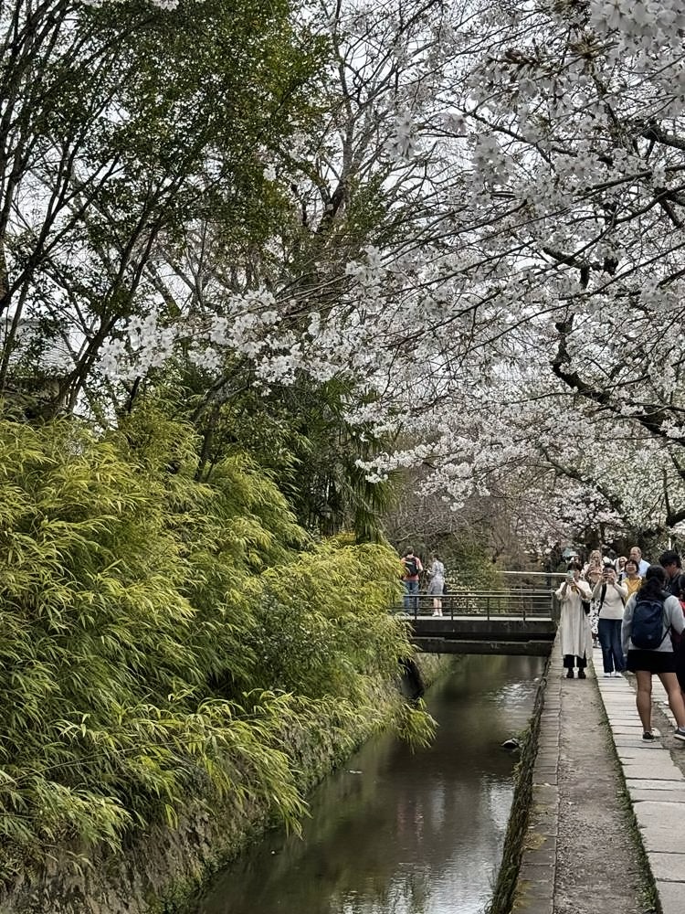 Kyoto