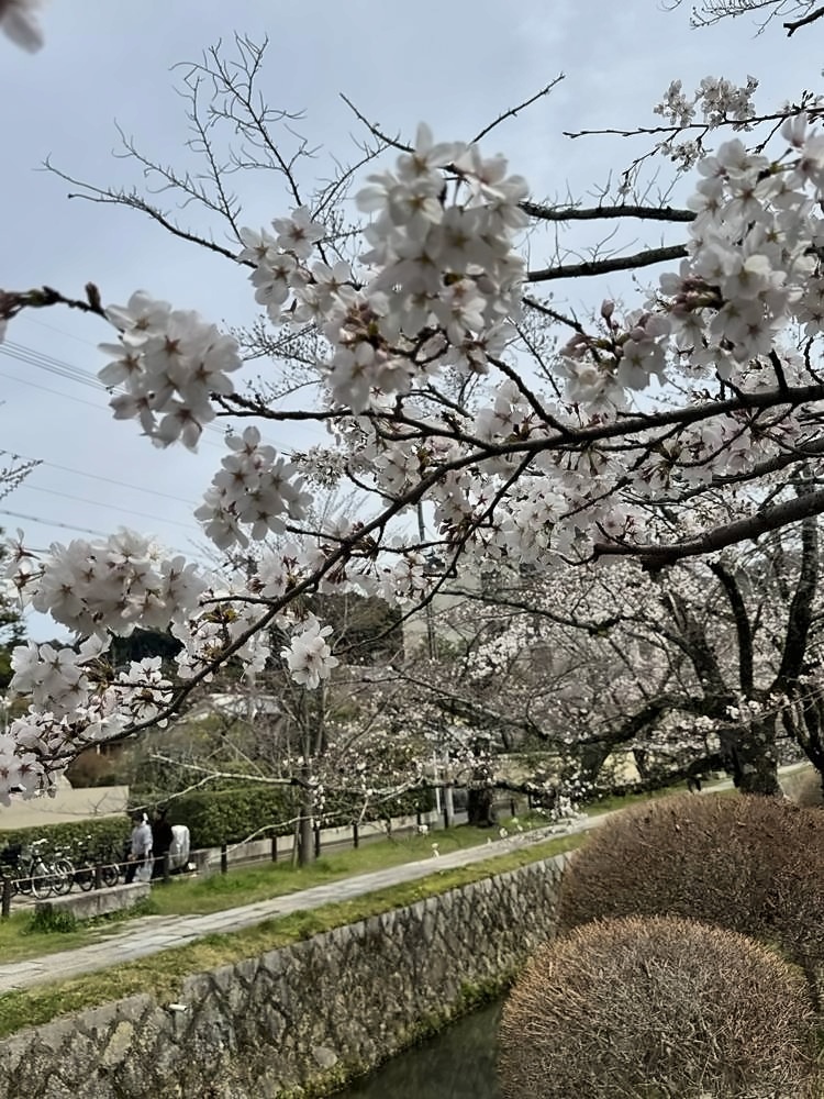 Kyoto