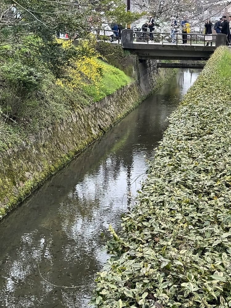 Kyoto