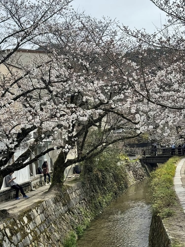 Kyoto