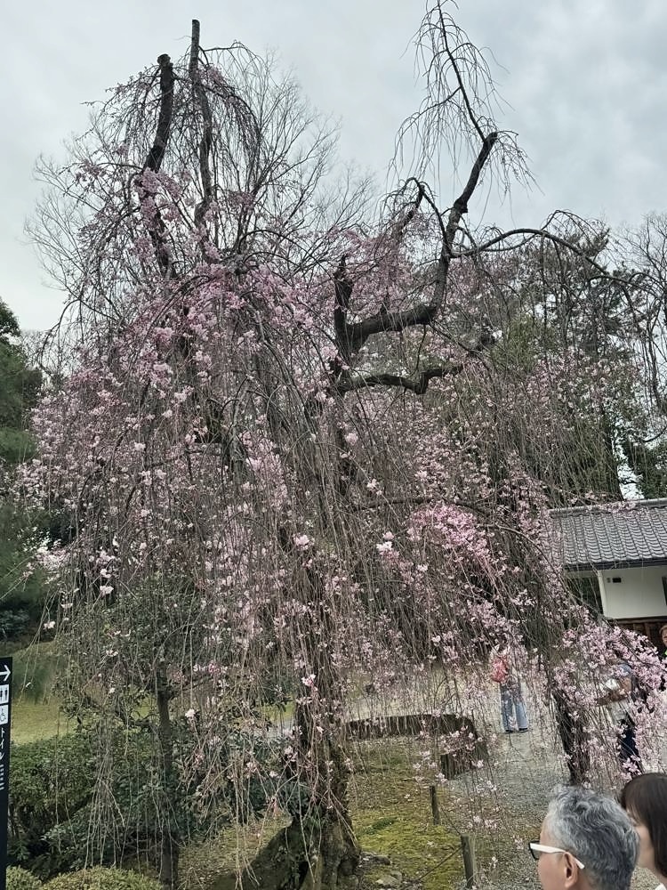Kyoto
