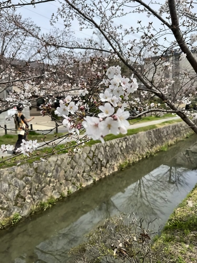 Kyoto