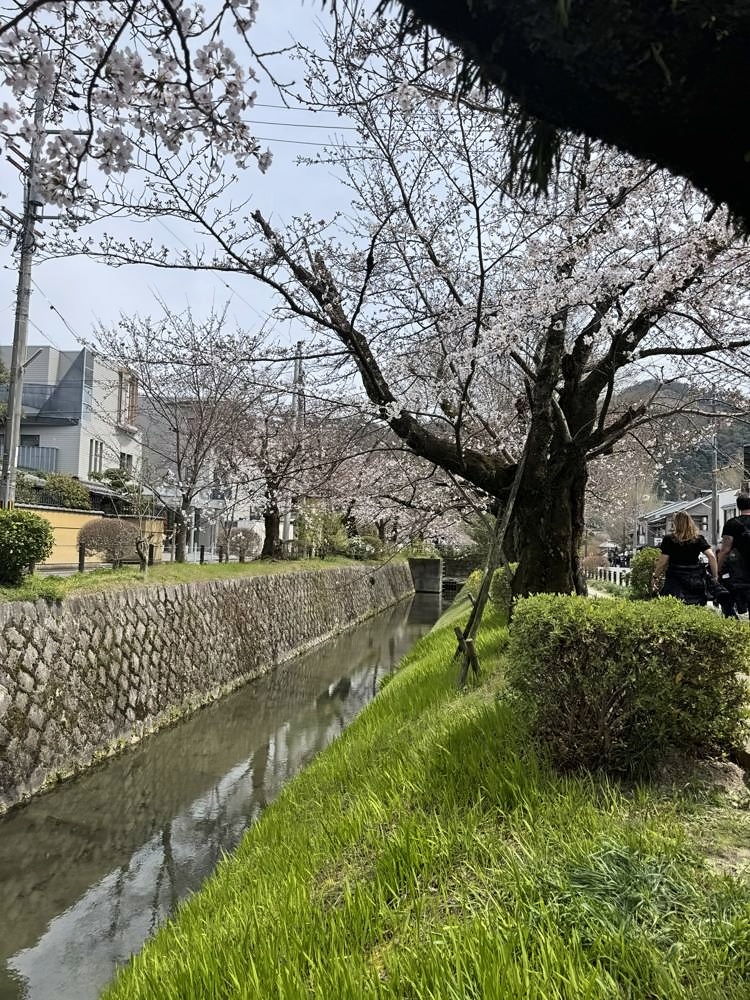 Kyoto