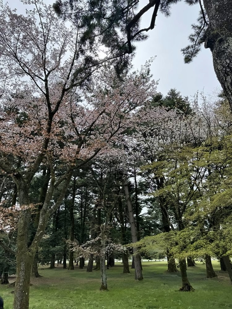 Kyoto