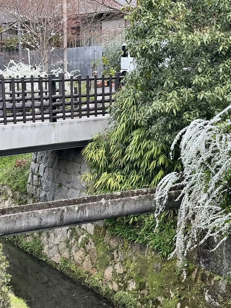 Kyoto