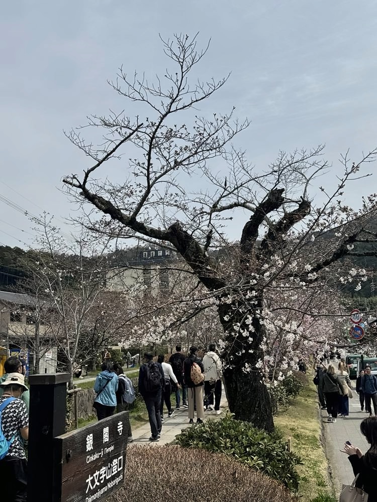 Kyoto