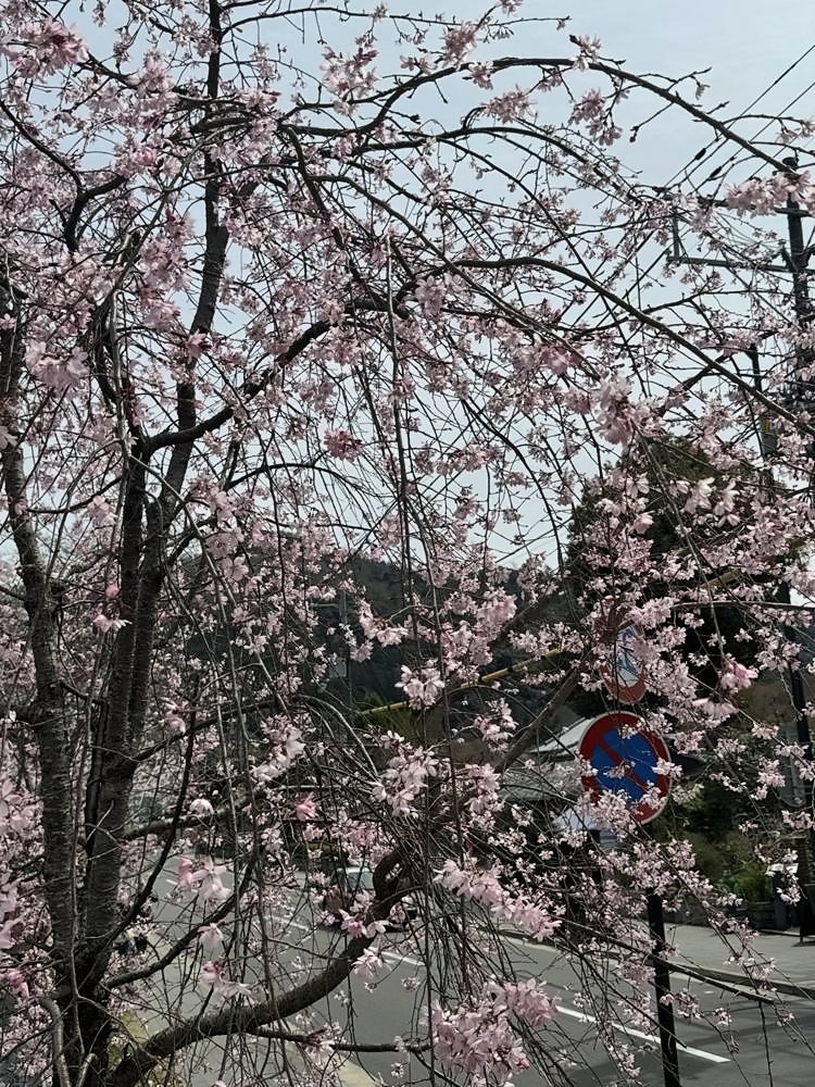 Kyoto