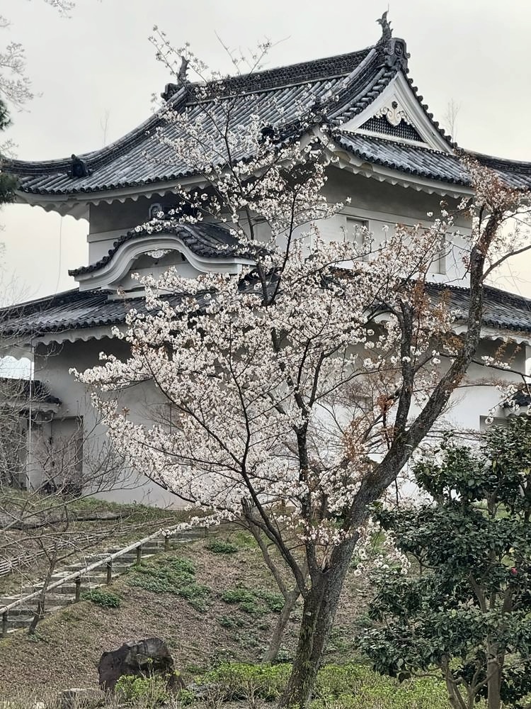 Kyoto