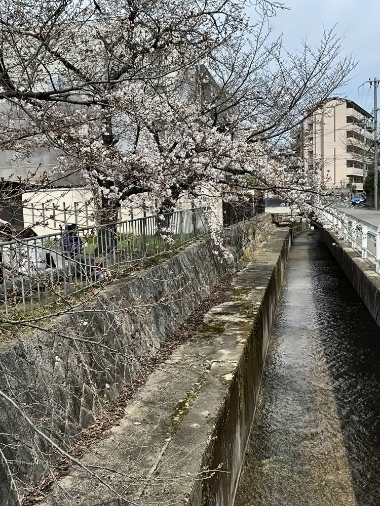Kyoto