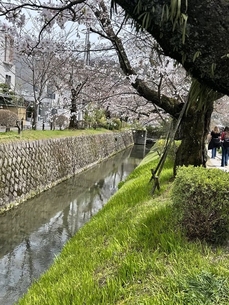 Kyoto