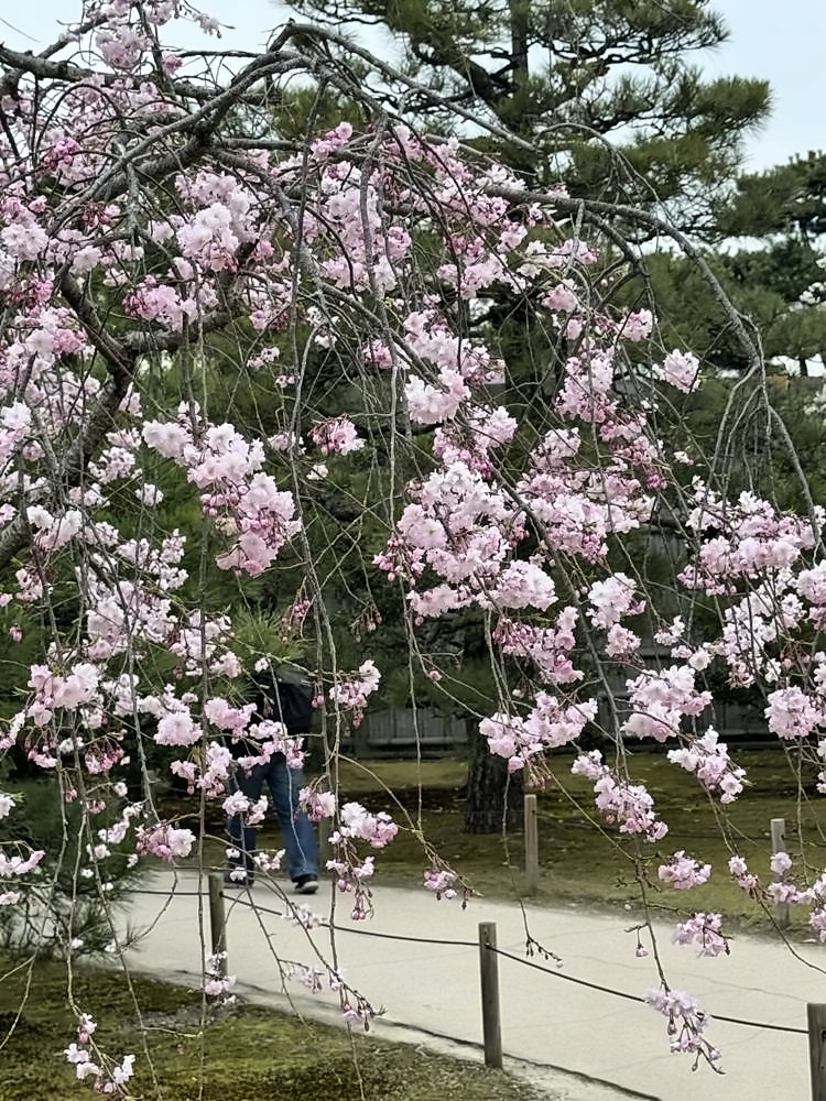 Kyoto