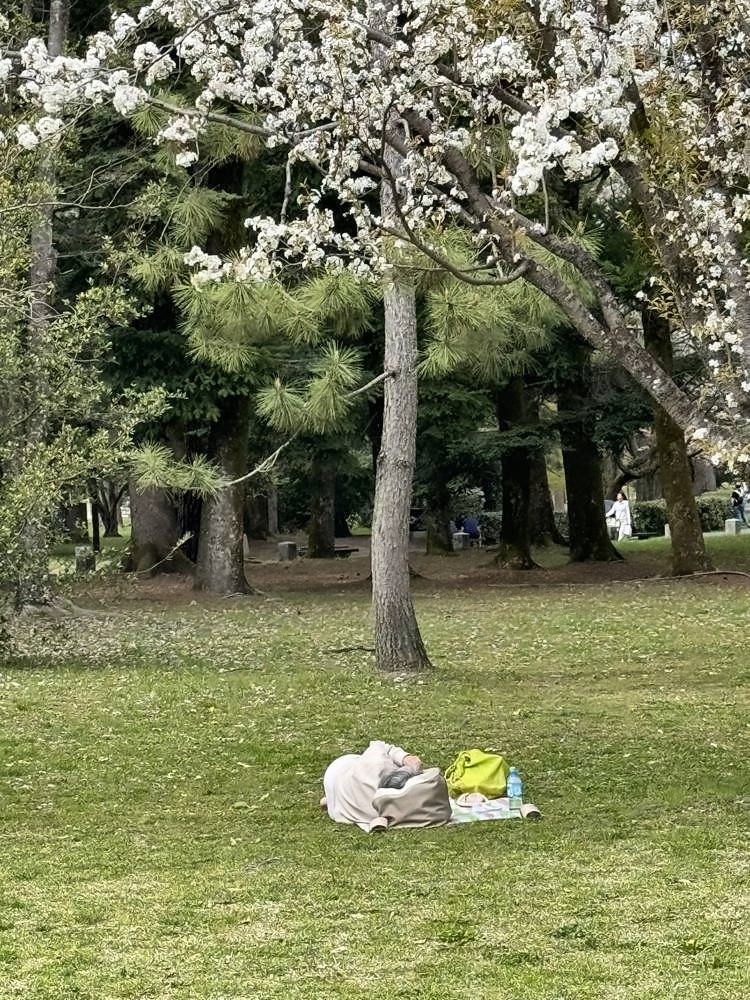 Kyoto