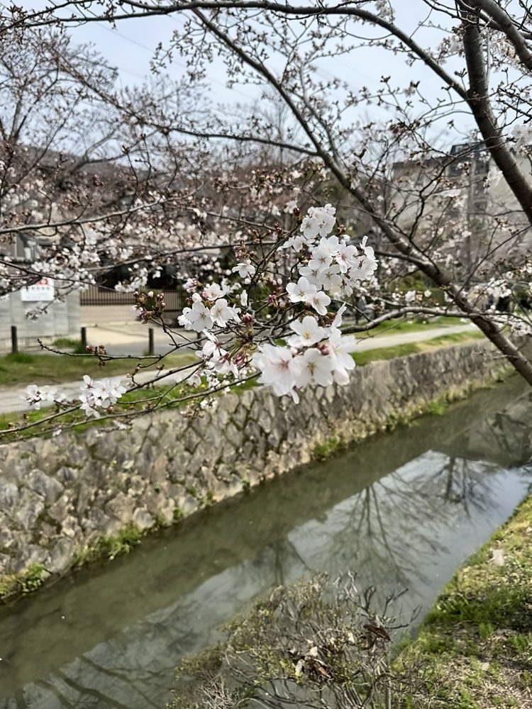 Kyoto