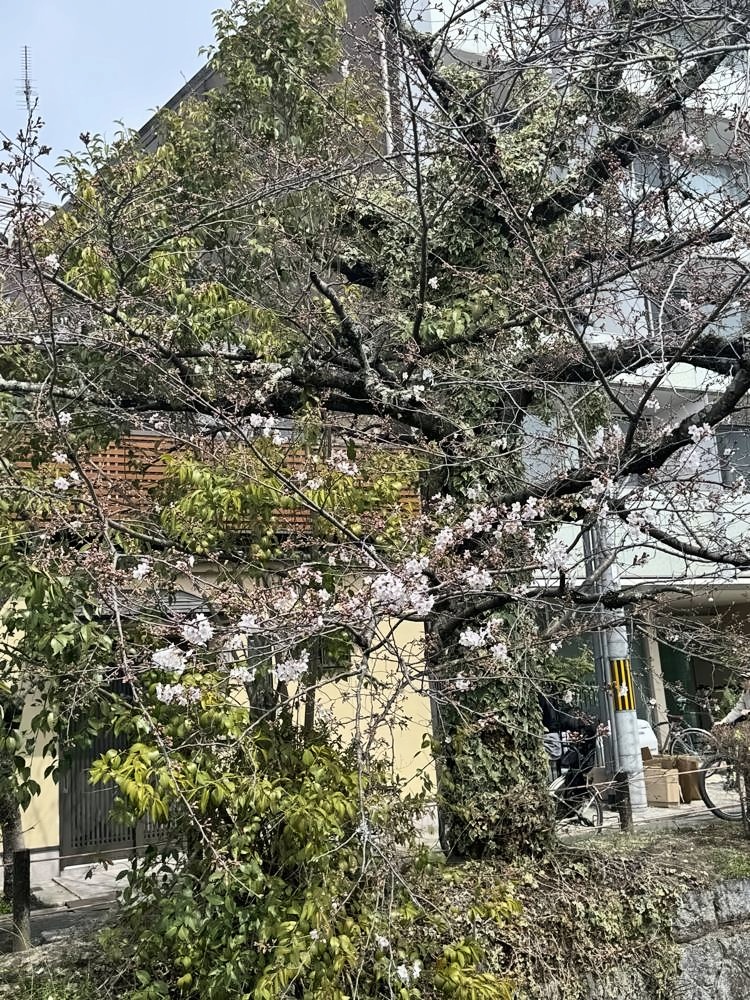 Kyoto