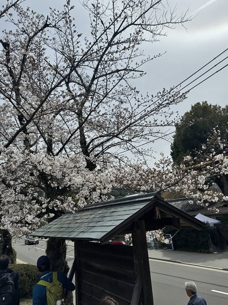 Kyoto