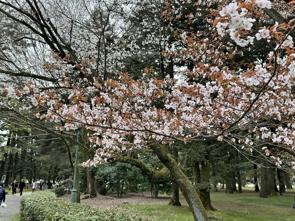 Kyoto