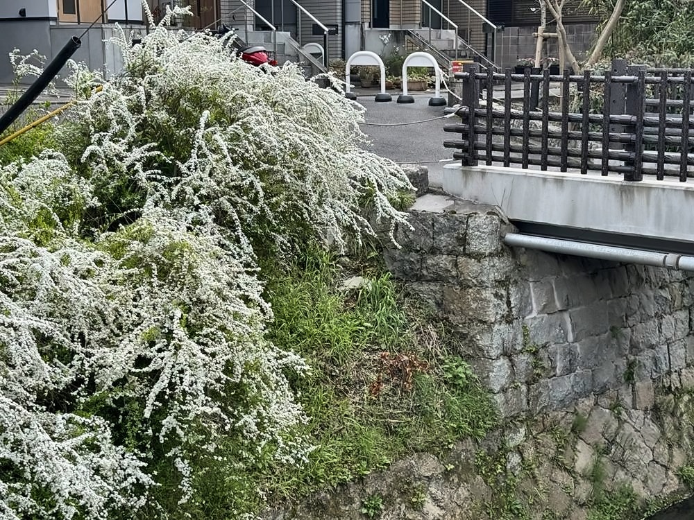 Kyoto